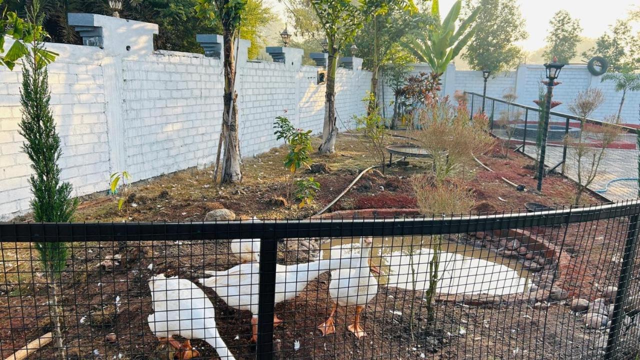 Fun O Farm Luxury Farm Villa Indore Dış mekan fotoğraf